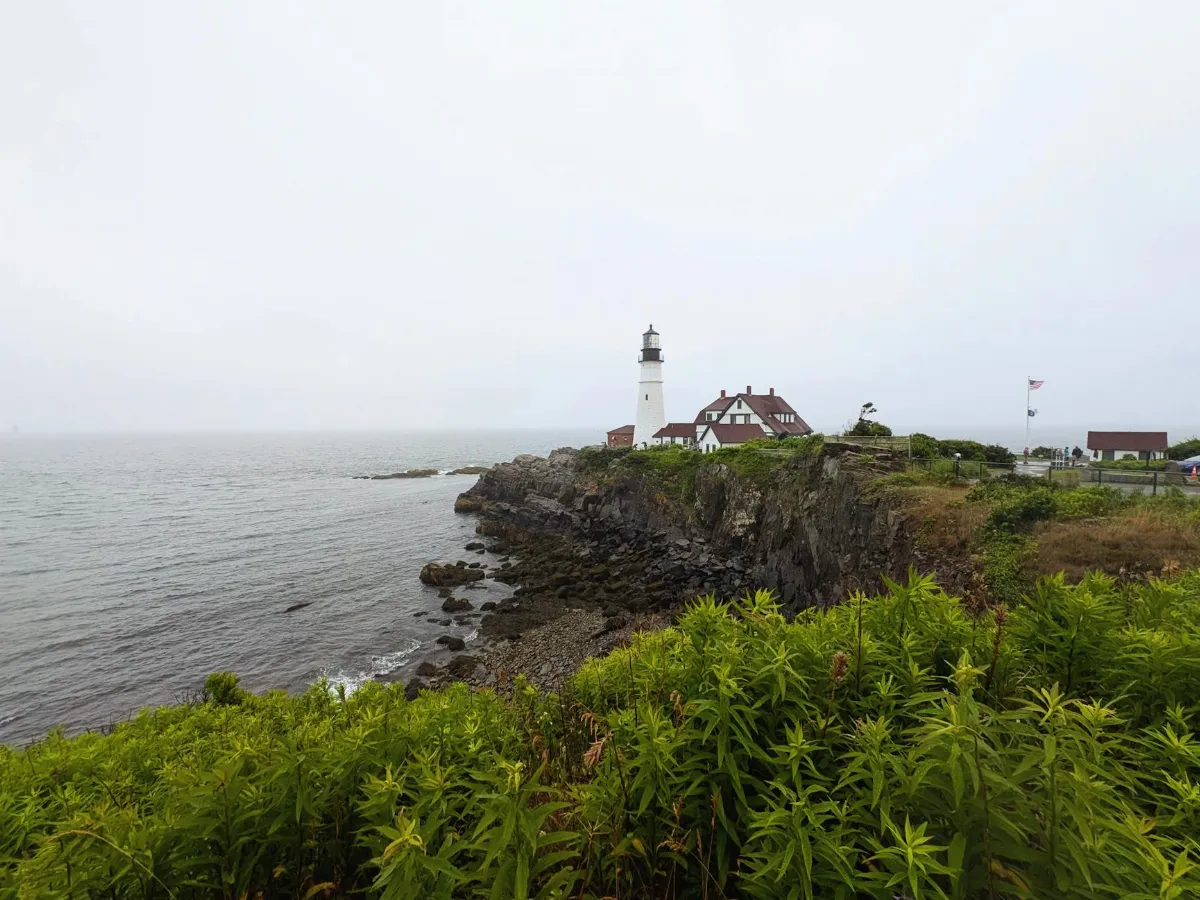 5 Alasan AirDrop di Pixel 9